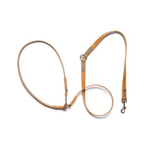 Amber Hands-Free Dog Leash