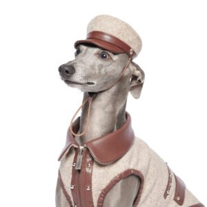 Bordeaux Dog Hat