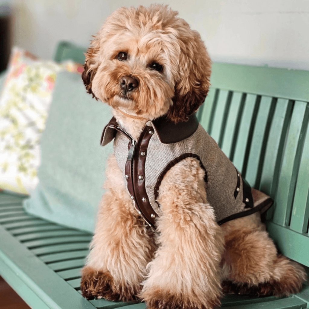 bordeaux-wool-tweed-stud-vest-2