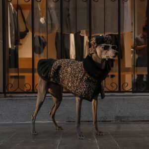 Crimson Sequin Dog Coat