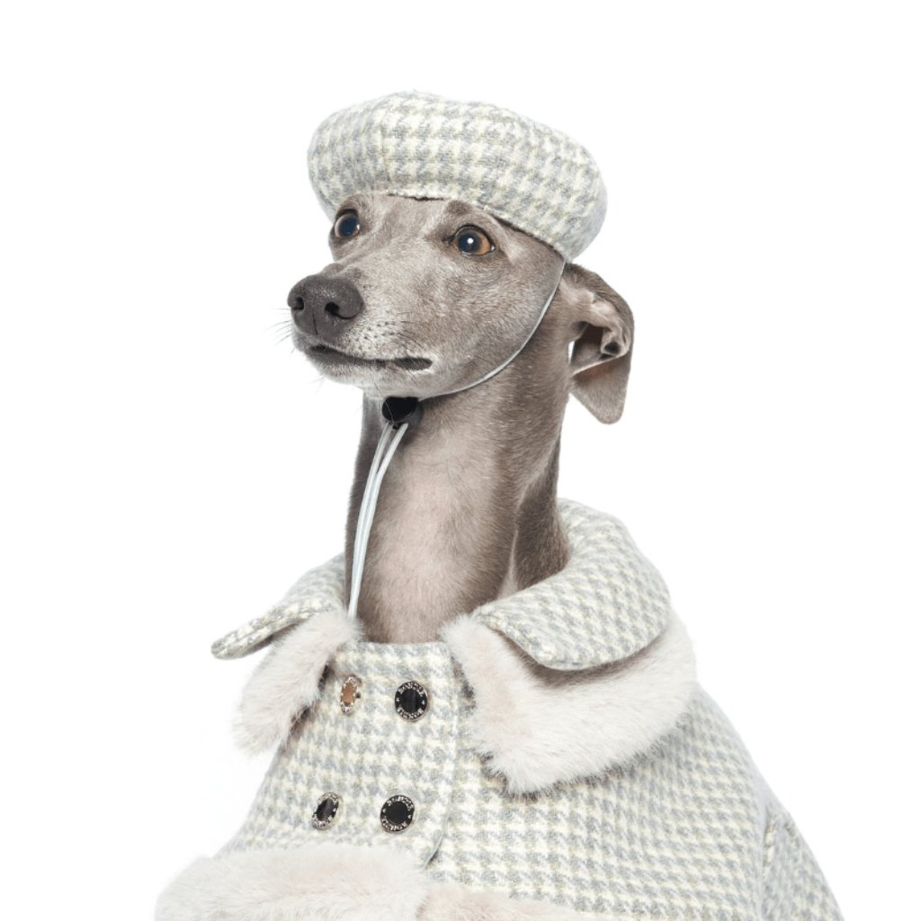 Evergreen Dog Beret
