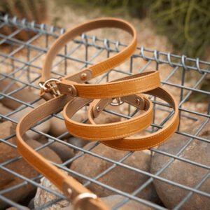 Flamingo Leather Collar