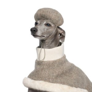 Nimbus Dog Beret