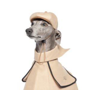 Obine Dog Newsboy Cap