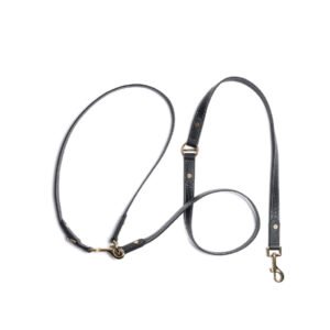 Obsidian Hands-Free Dog Leash