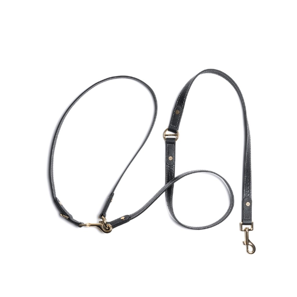 Obsidian Hands-Free Dog Leash