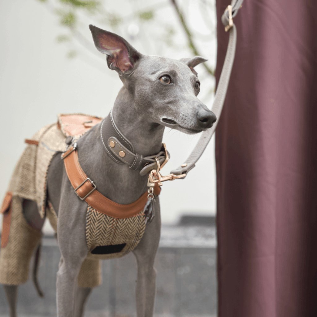 sand-leather-collar-2
