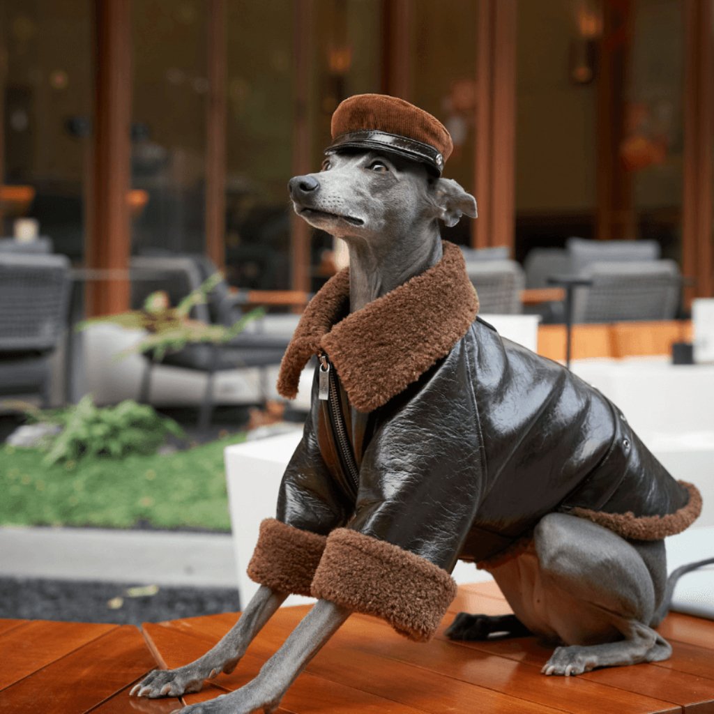 woodland-dog-hat-2